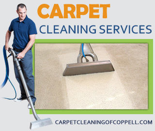 professional cleaners in Spring TX