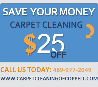 special cleaning offers